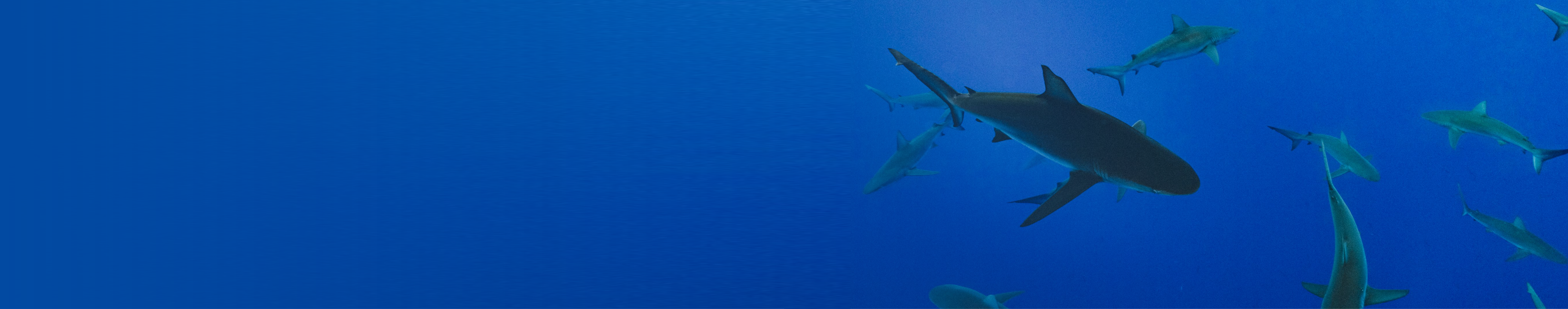 水产